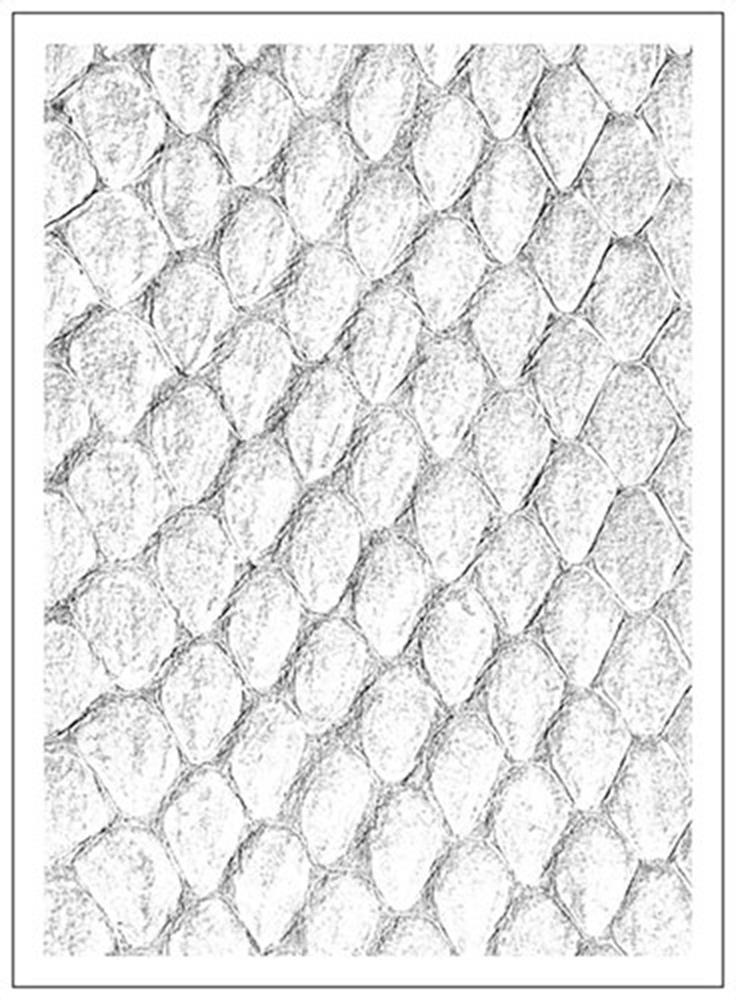Dragon Hide, White - Sleeves